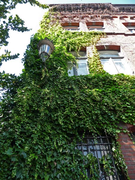 051_Brussels_greenery_on_building