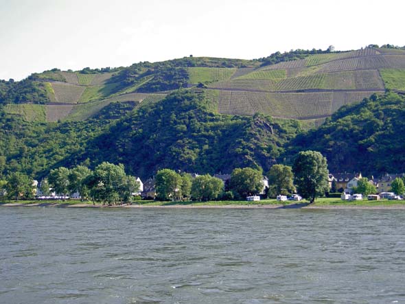 016_vineyards_east_side_Rhine