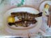 307_trout_lunch