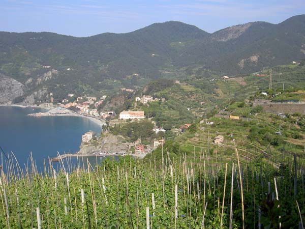 187_Montorosso viewed from trail to Vernazza