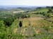 2046_Tuscan countryside