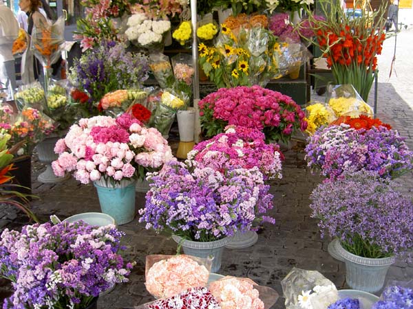 4026_Rome_Campo di Fiori flower stall