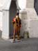 4111_Rome_Swiss guard, San Pietro