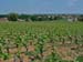 237_Beaune_wine_tasting_Chateau_de_Rully