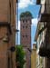 0537_Lucca_Guinigi_tower