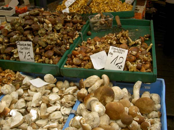 0158_Krakow_farmers_market_mushrooms