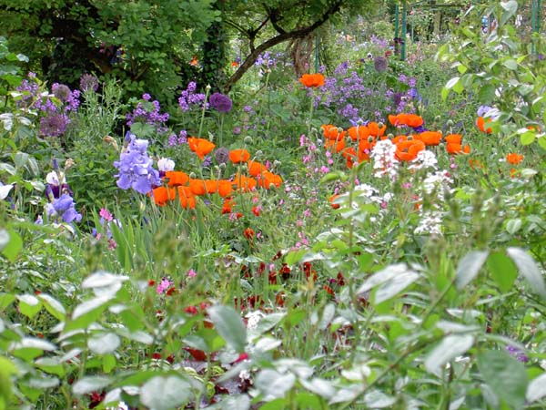 0128_Giverny_Monet_garden