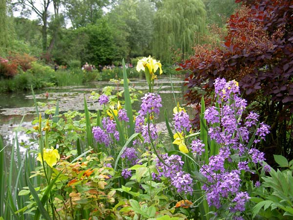 0146_Giverny_Monet_water_garden