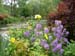 0146_Giverny_Monet_water_garden