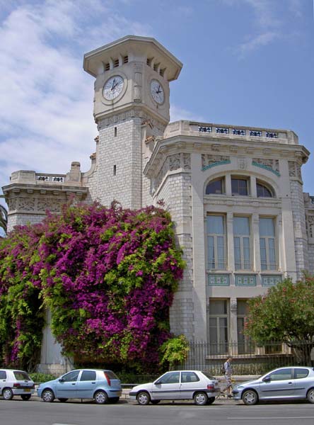 3106_Nice_building_and_bougainvilla_near_bus_station