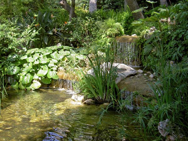 3135_Monaco_gardens_pond