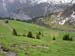 2179_alpine_meadow