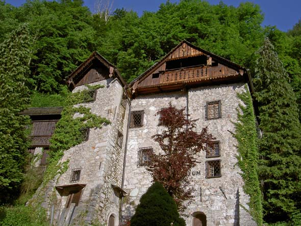 4020_Hallstatt_building