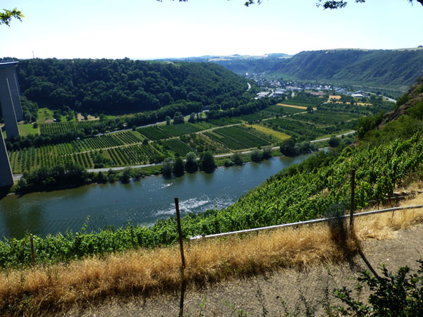 243_Rhine_Valley