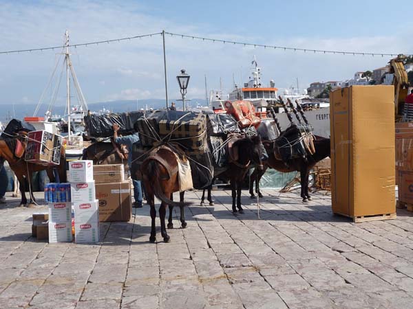 743_Hydra_donkeys_on_delivery_day