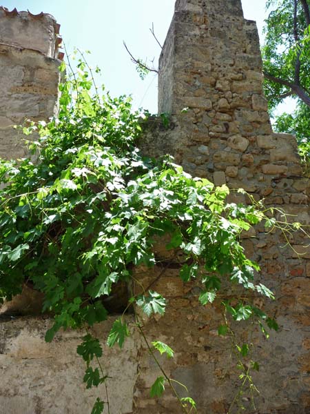 475_Monemvasia_old_town