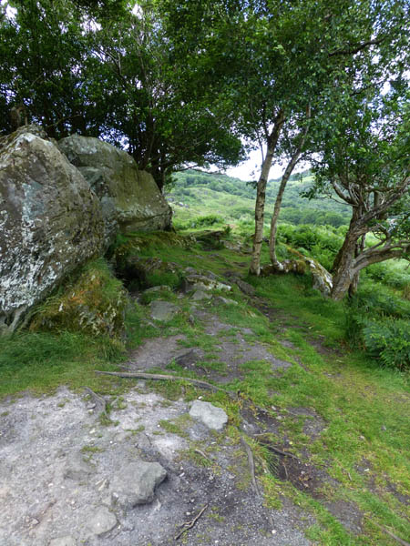 335_Killarney_National_Park