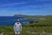 429_Dingle_peninsul