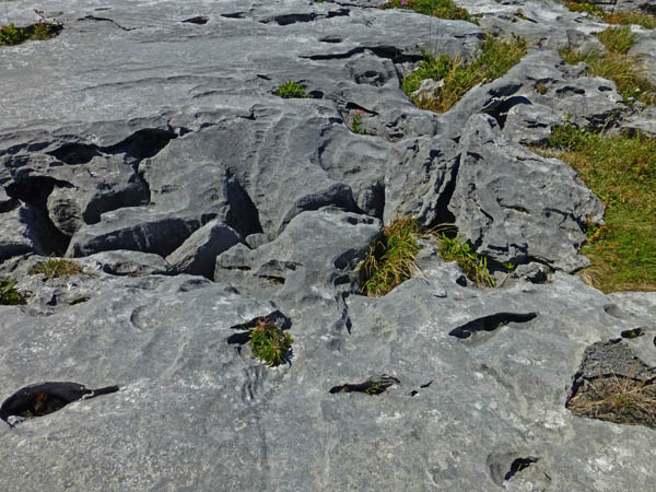 516_The_Burren