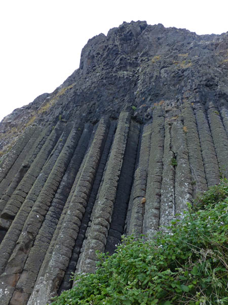 735_Giant's_Causeway