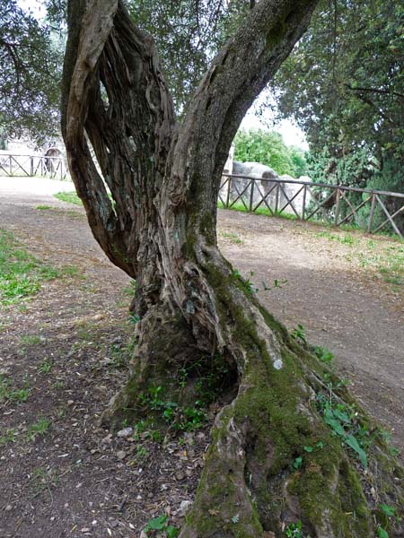 102_Rome_Hadrian's_Villa