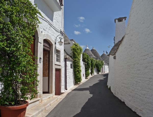 176_Alberobella