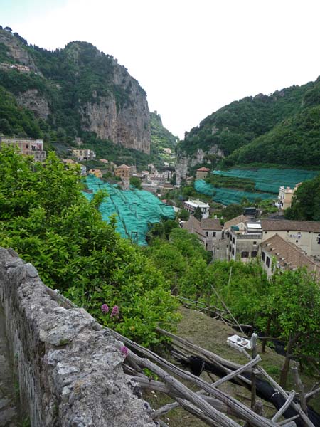 473_Amalfi_town_lemon_groves