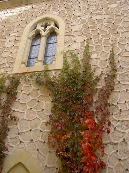 125_Alcazar exterior window and vine