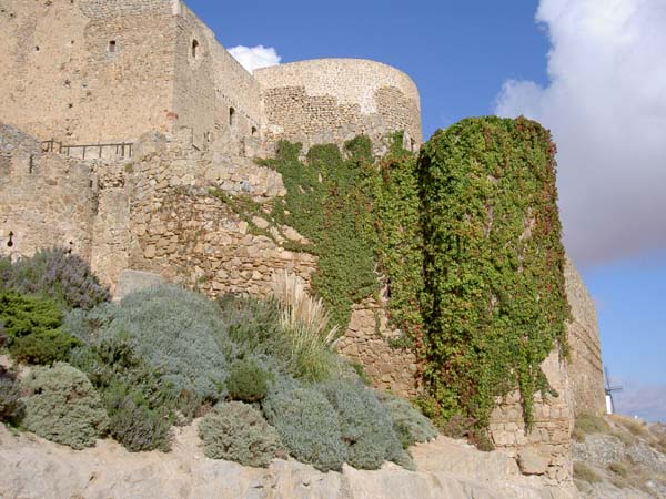 172_Fort tower and vines