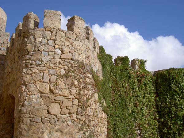 176_Fort tower and vines5