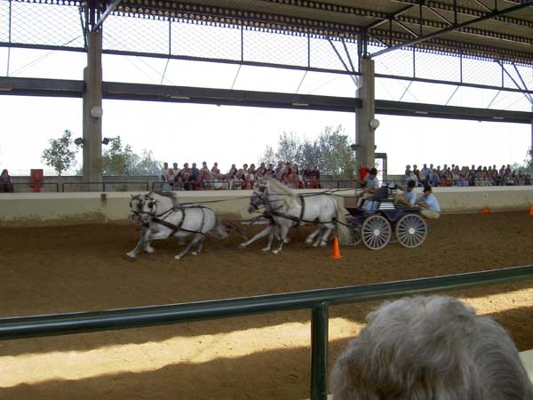 2107_racing_carriage