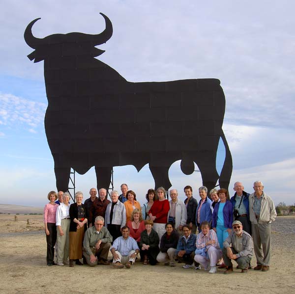 2126_roadside_bull_and_group