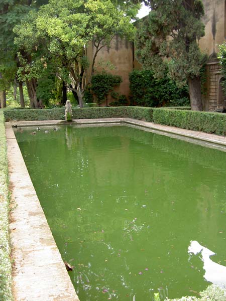 2145_alcazar_reflecting_pool