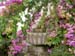 3128_fountain_with_bougainvillea