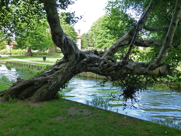 095_Westgate_Gardens_Canterbury