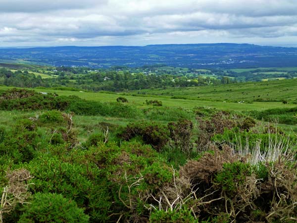 560_Haytor