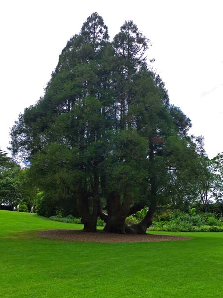 617_Trelissick_Gardens