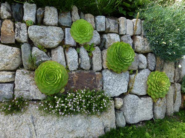 796_St_Michaels_Mount