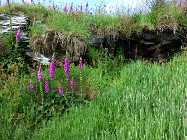 831_Tintagel_Castle