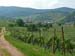 167_Colmar_vineyard_hike