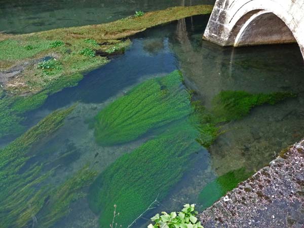 252_Beaune_Bouzaise_river