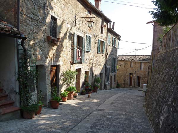 0176_Montone