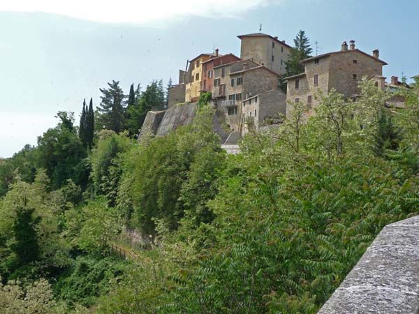 0212_Montone