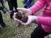 0229_Montone_truffle_hunt