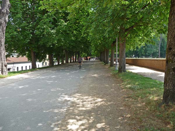 0541_Lucca_biking_the_ramparts