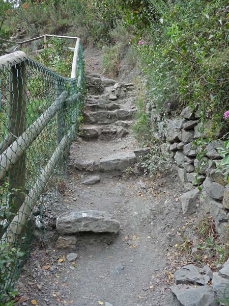 0755_hike_to_Vernazza