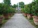 0575_Lucca_Palazzo_Pfanner